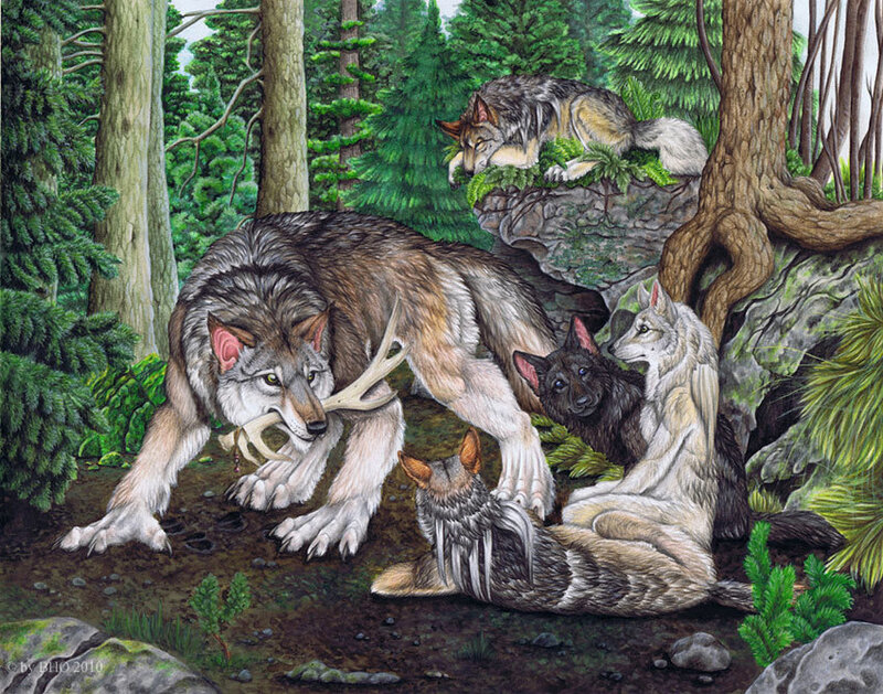 Wolf Pack in Forest — Green