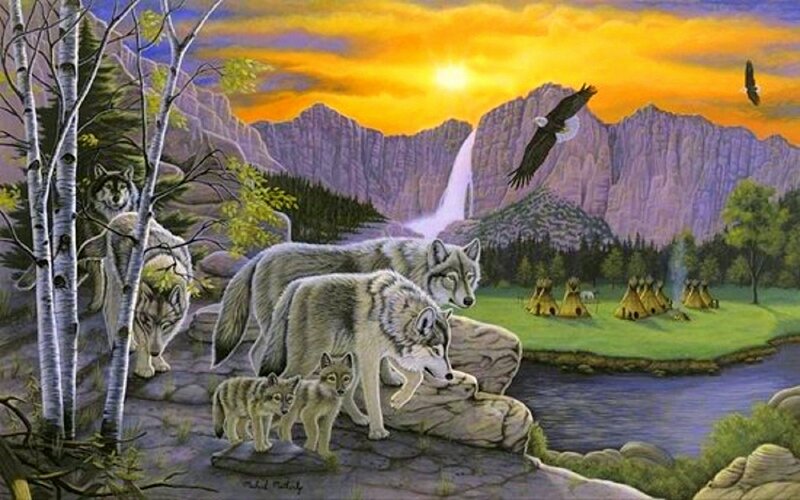 Wolf Pack in Forest — Orange