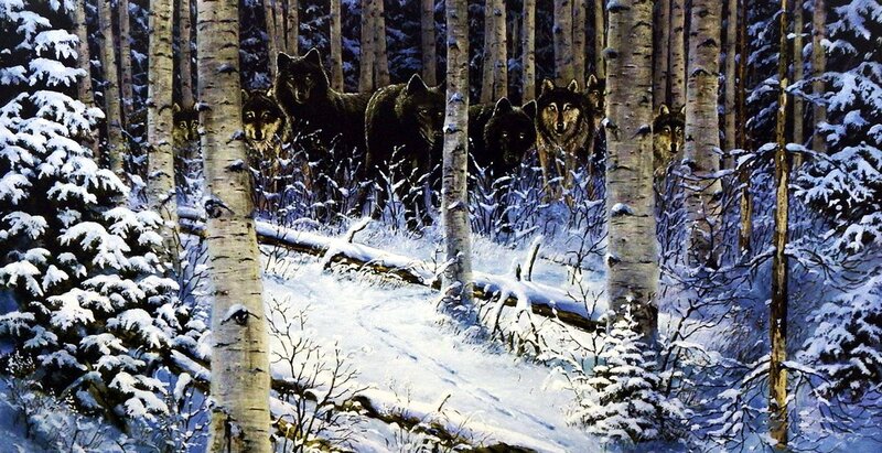 Wolf Pack in Forest — White