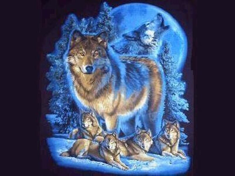 Wolf Pack in Snow — Blue, Dramatic