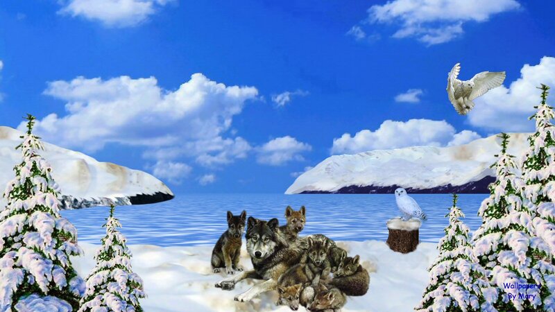 Wolf Pack in Snow — Blue, Serene