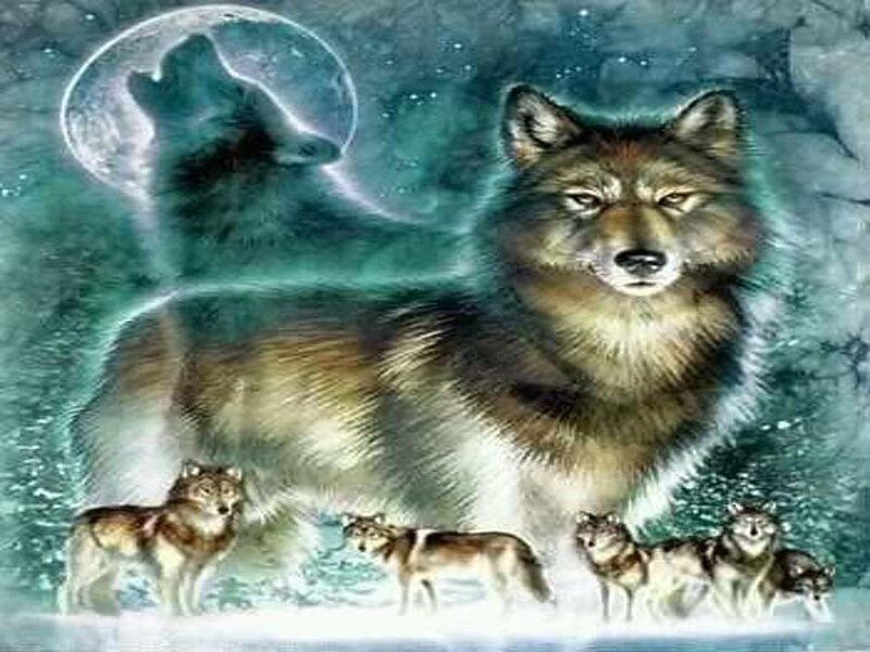 Wolf Pack in Snow — Green