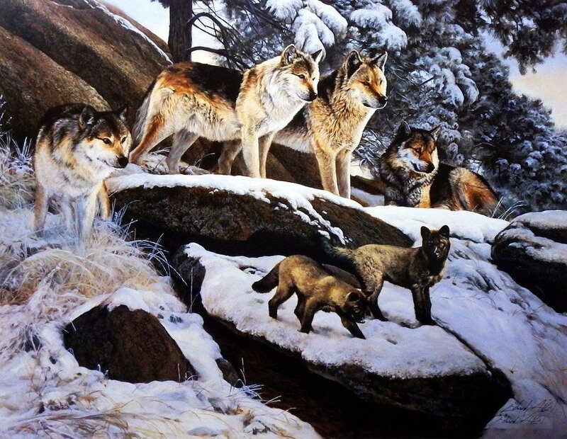 Wolf Pack in Snow — White, Alert