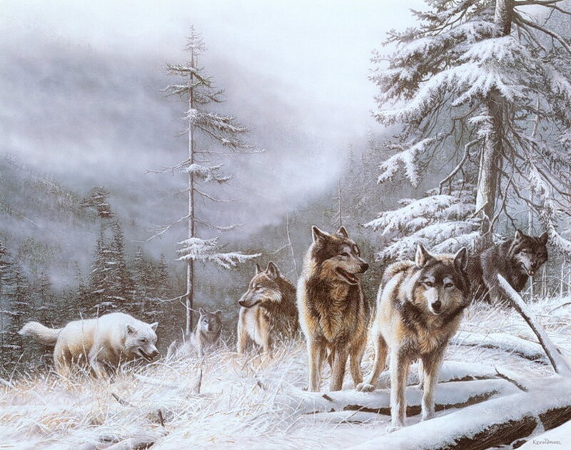 Wolf Pack in Snow — White, Cold, Winter