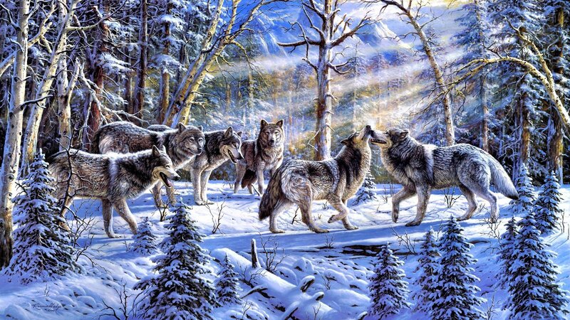 Wolf Pack in Snow — White, Dramatic, Winter, Painting, Forest