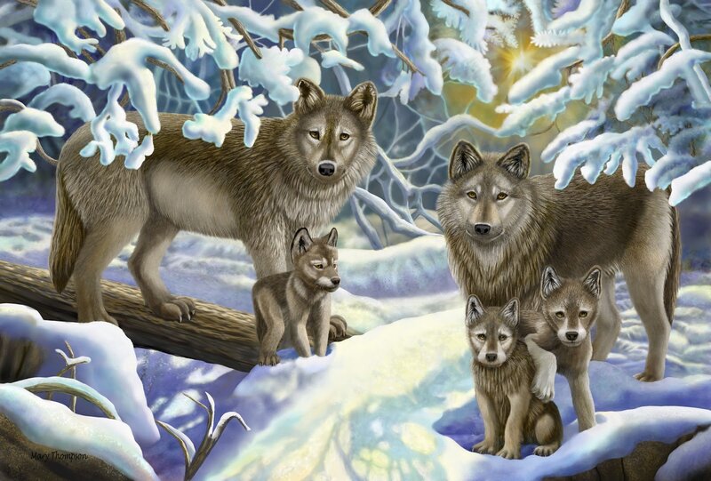 Wolf Pack in Snow — White, Serene