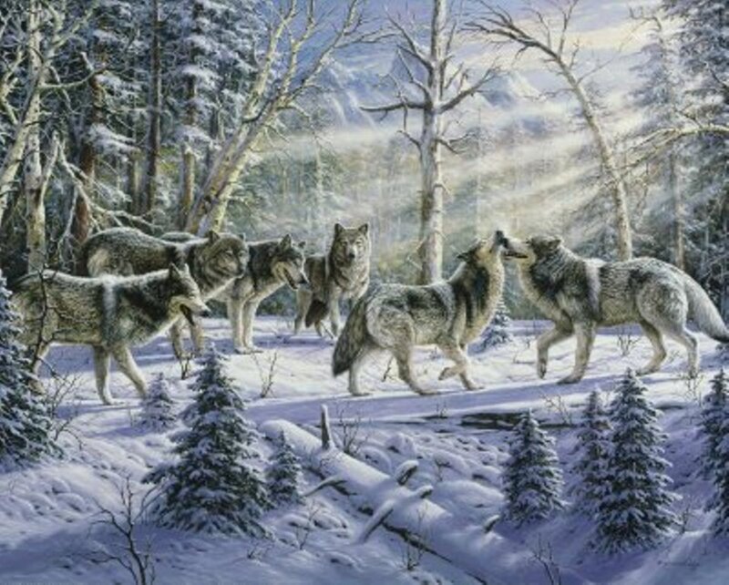 Wolf Pack in Snow — White, Serene, Winter, Painting, Forest