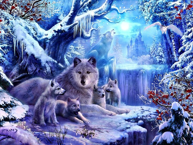 Wolf Pack in Winter — Blue, Serene, Night