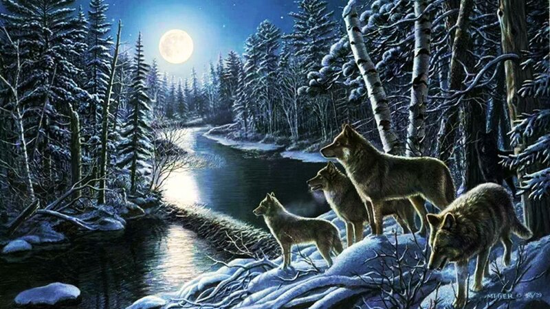 Wolf Pack in Winter — Blue, Serene