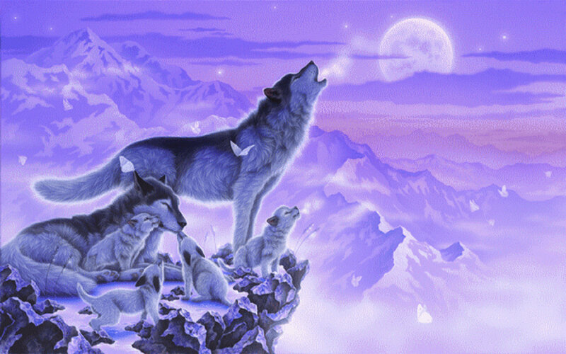 Wolf Pack on Cliff