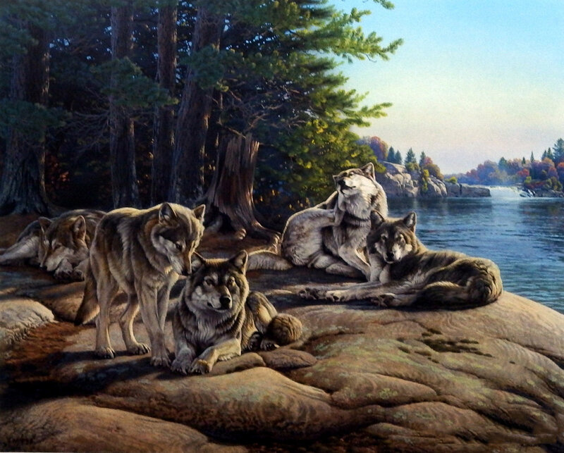 Wolf Pack on Rocks — Brown, Serene, Afternoon