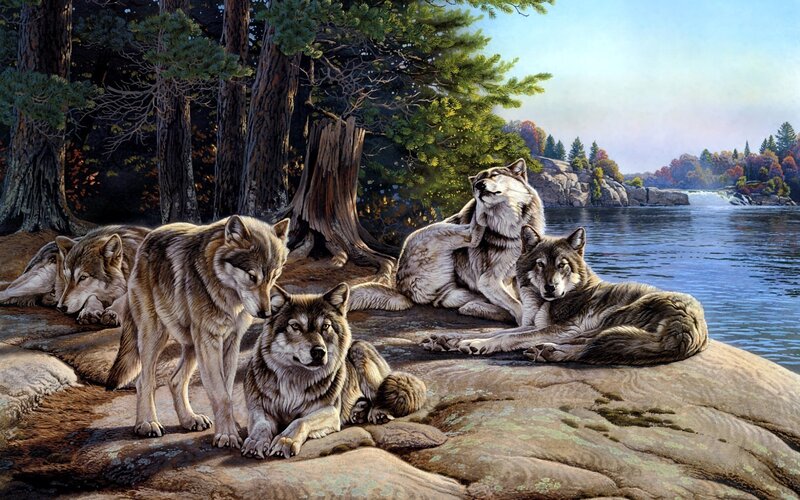 Wolf Pack on Rocks — Brown, Serene, Autumn, Painting, River, Trees