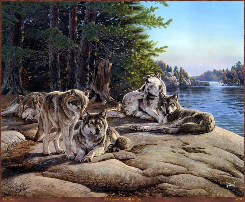 Wolf Pack on Rocks — Brown, Serene, Autumn, Painting