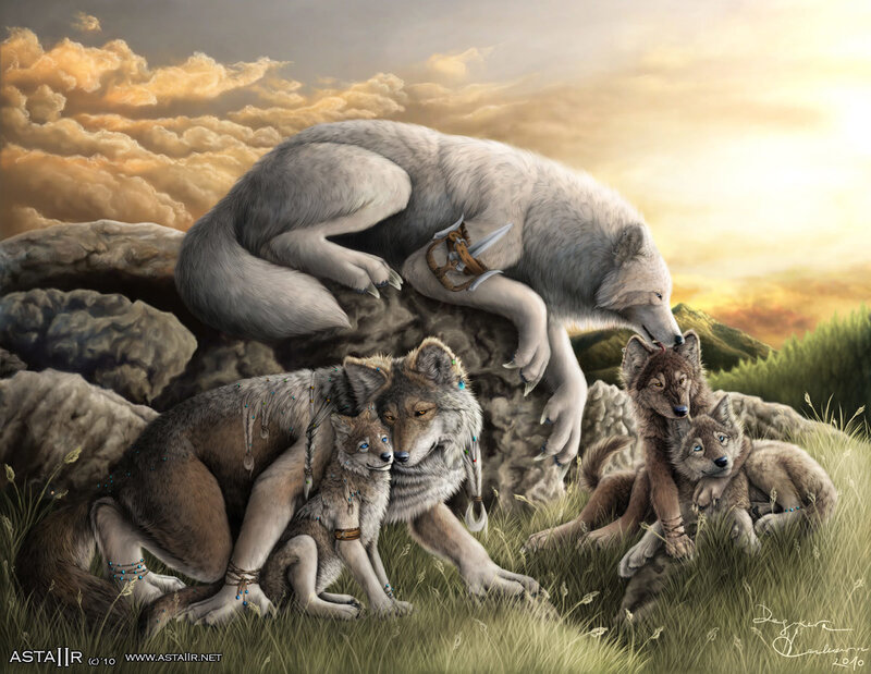 Wolf Pack on Rocks