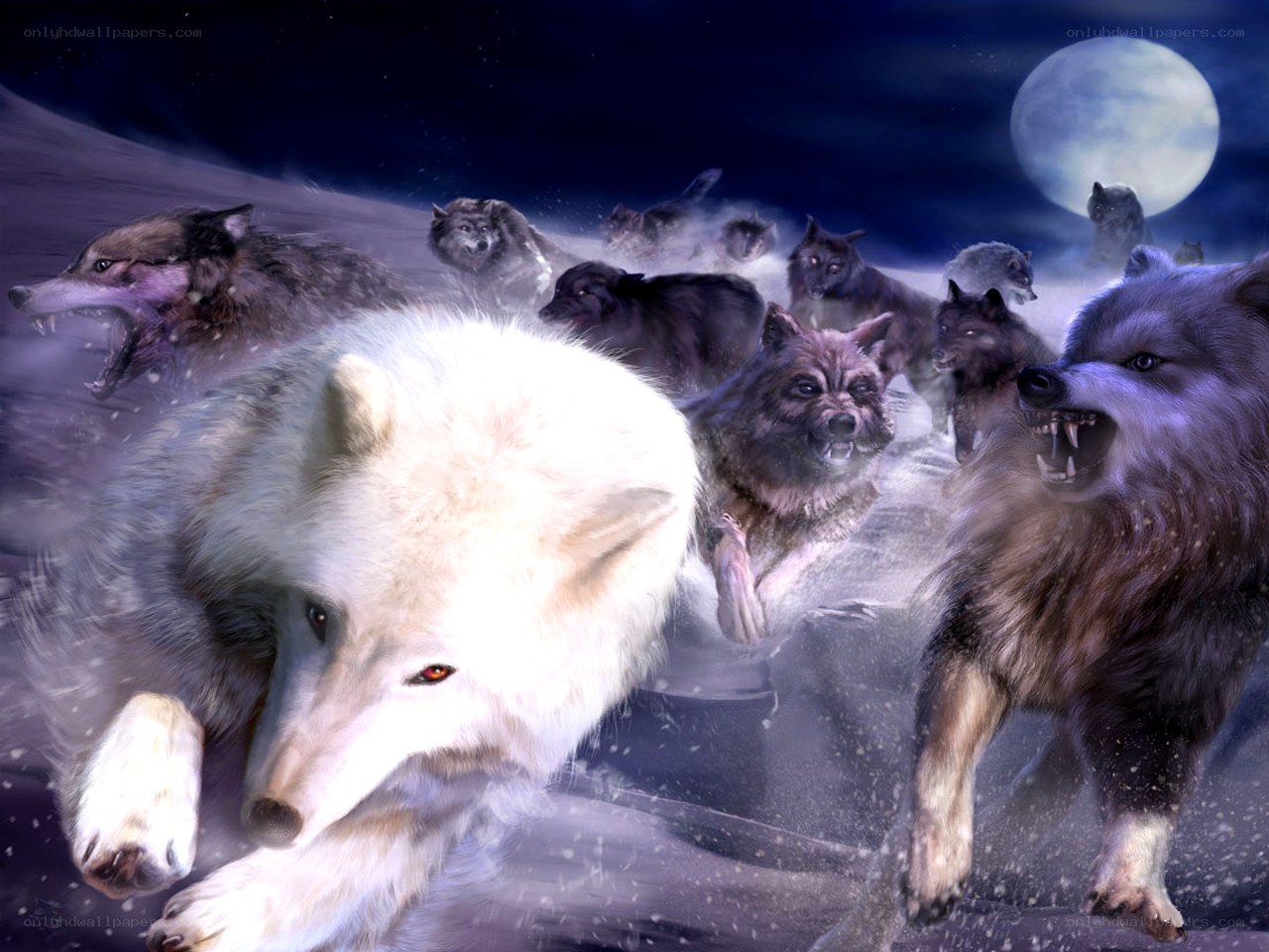 wolf pack running under moon