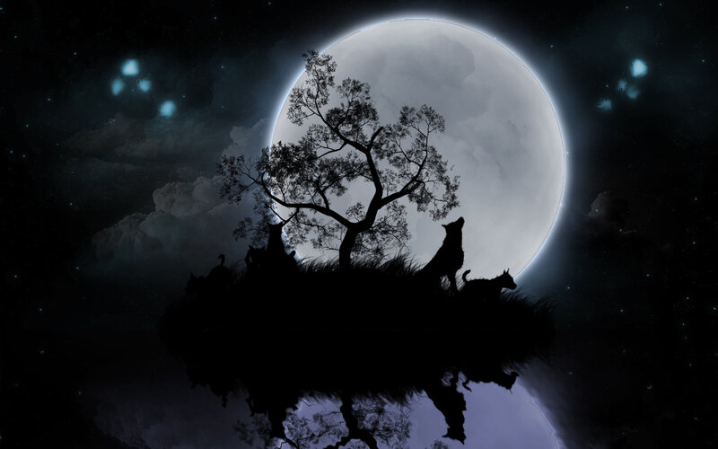 wolf pack under full moon