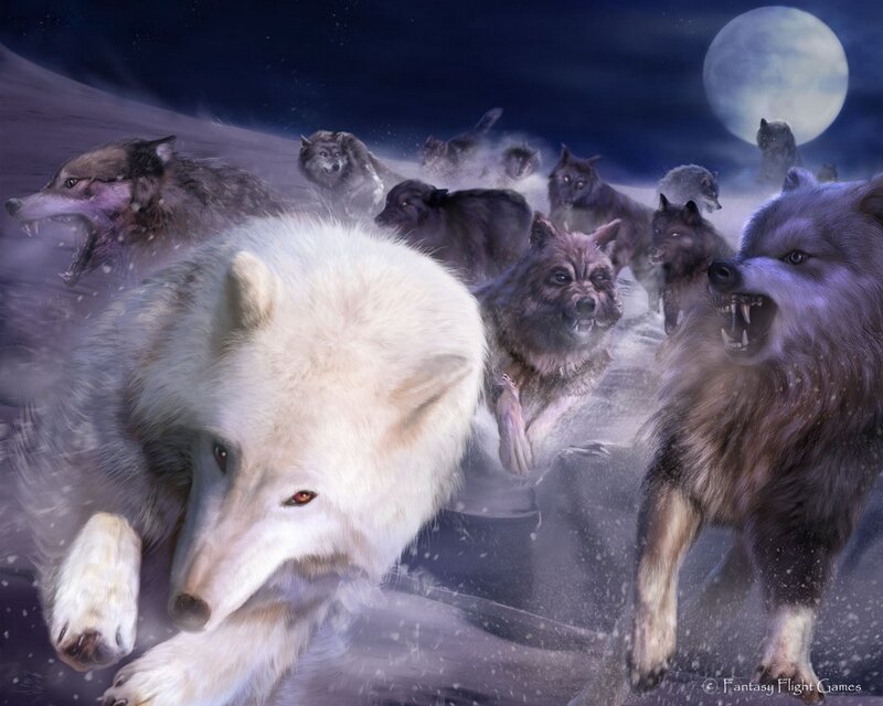 wolf pack under moonlight