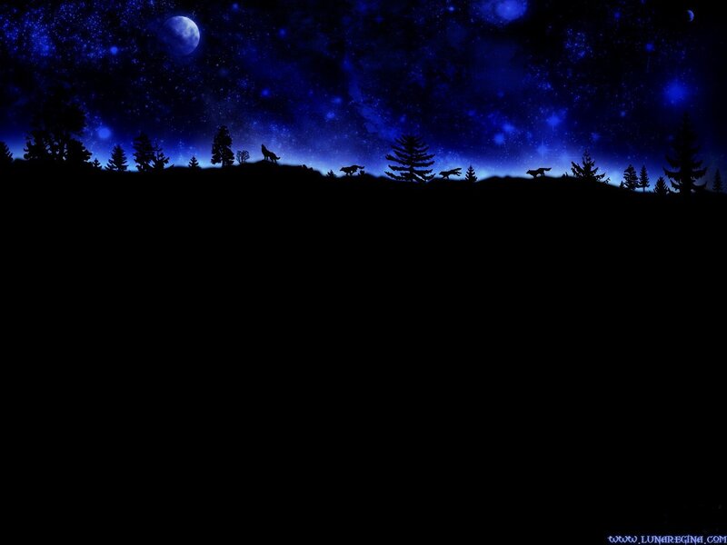 Wolf pack under starry night