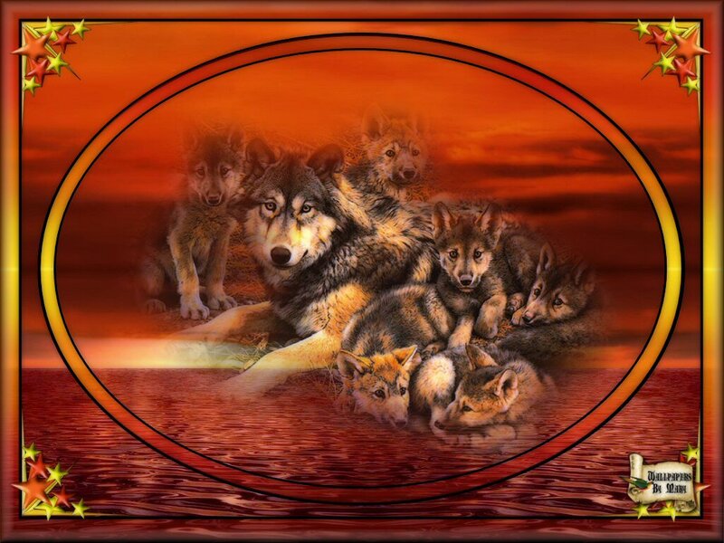 Wolf Pack with Pups — Red