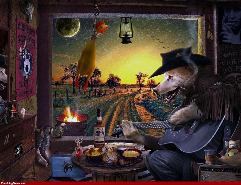 Wolf Playing Guitar