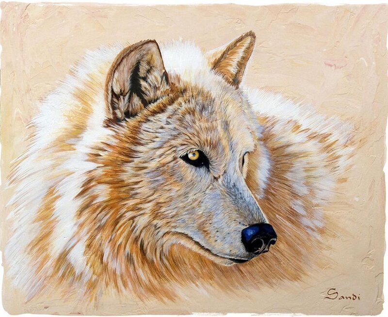 Wolf Portrait — Brown, Calm