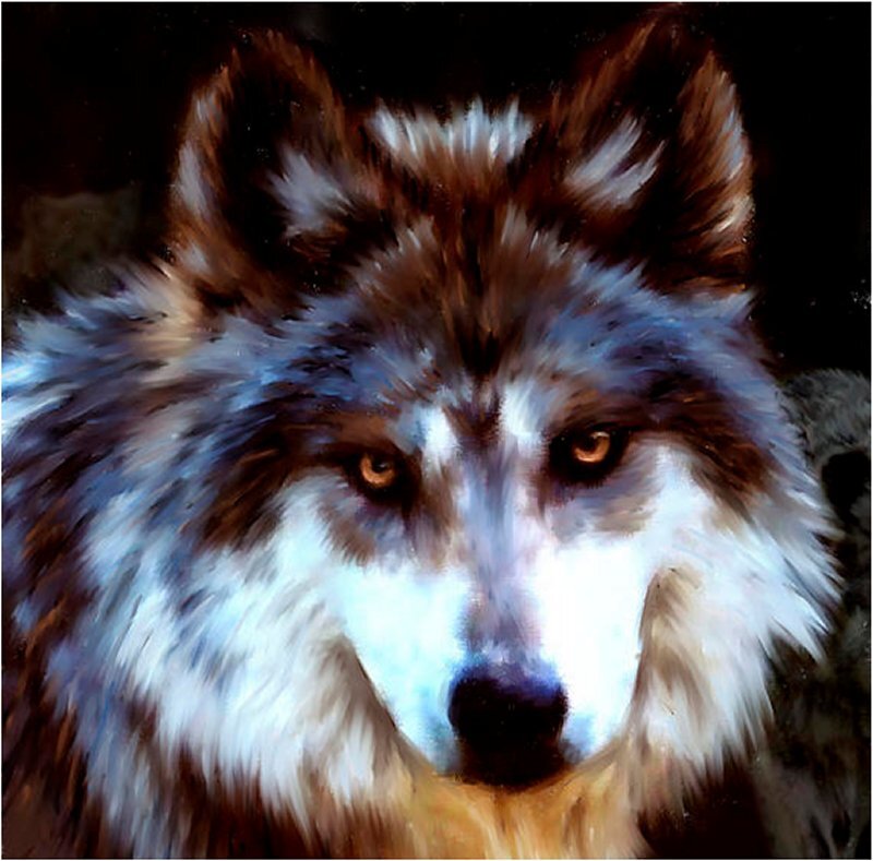 Wolf Portrait — Brown