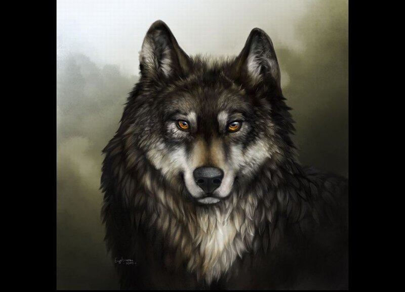 Wolf Portrait — Gray