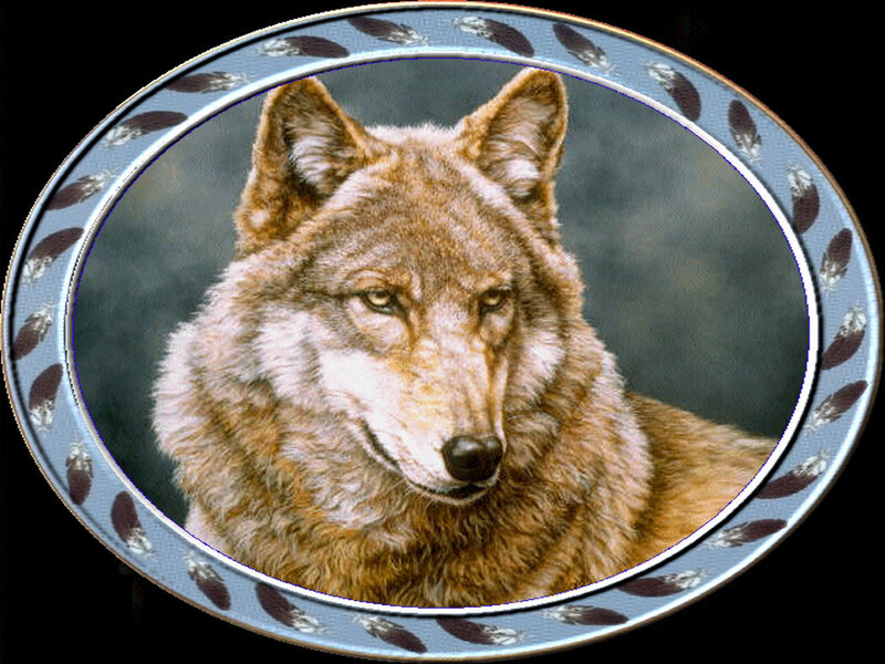 Wolf Portrait