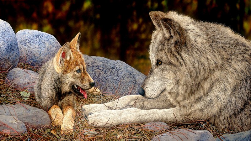Wolf Pup and Adult Wolf