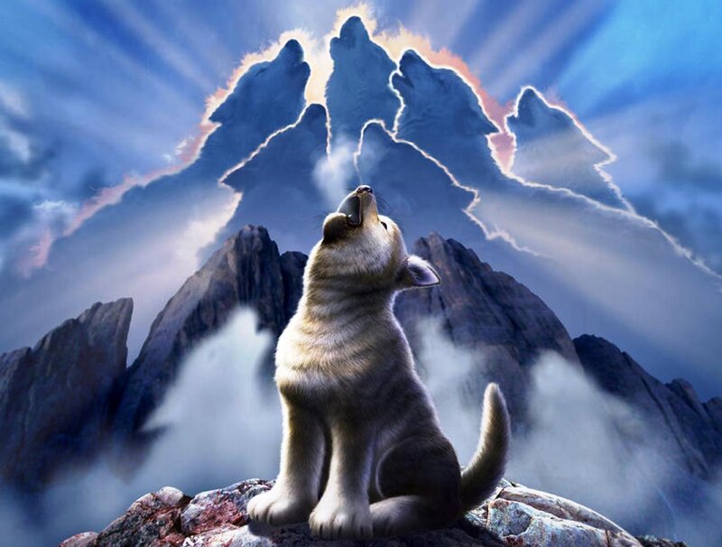 Wolf Pup Howling — Blue