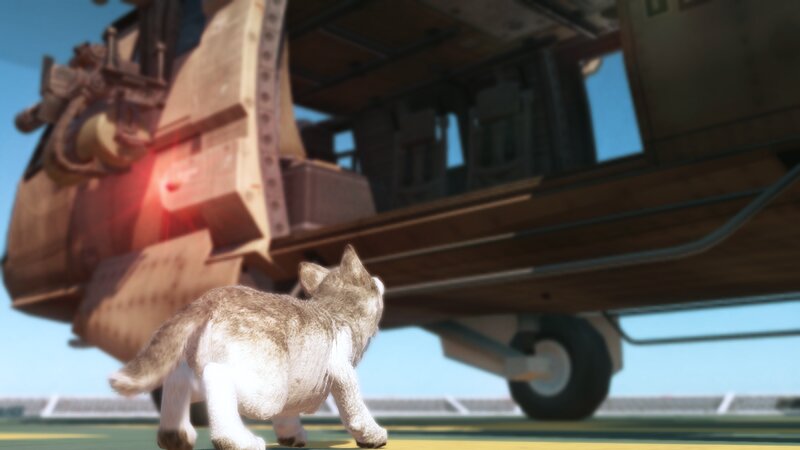 Wolf Pup Near Helicopter