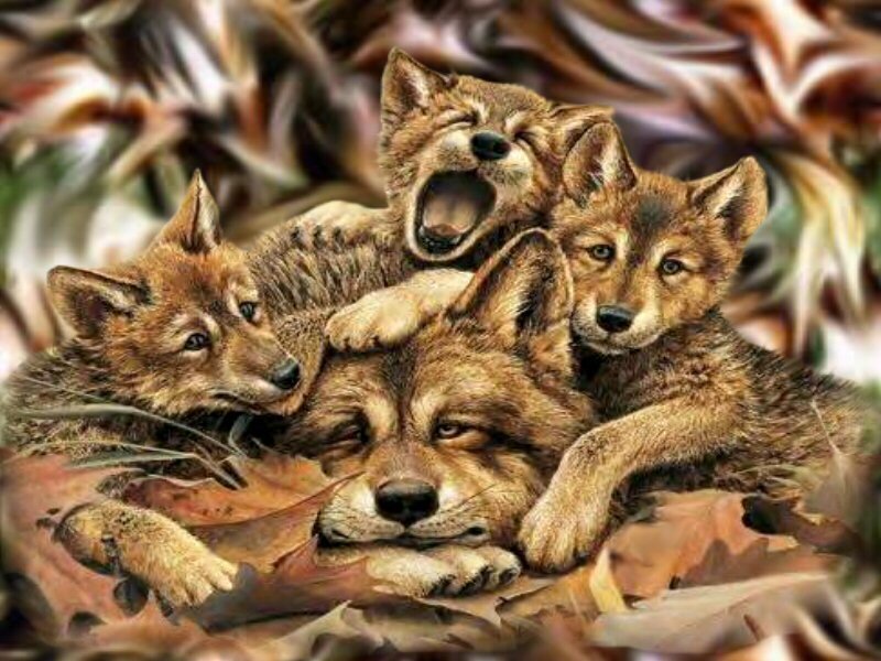 wolf pups in autumn leaves