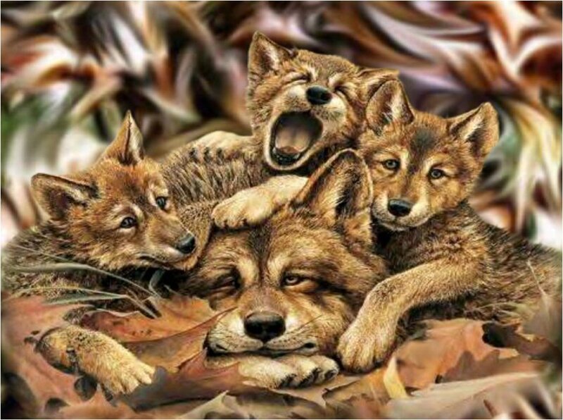 Wolf Pups in Leaves
