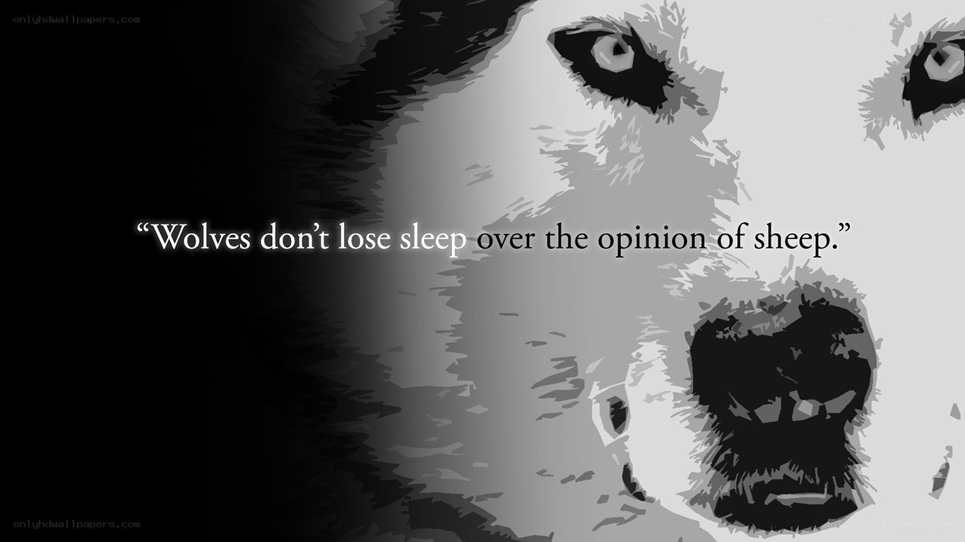 wolf quote with animal face