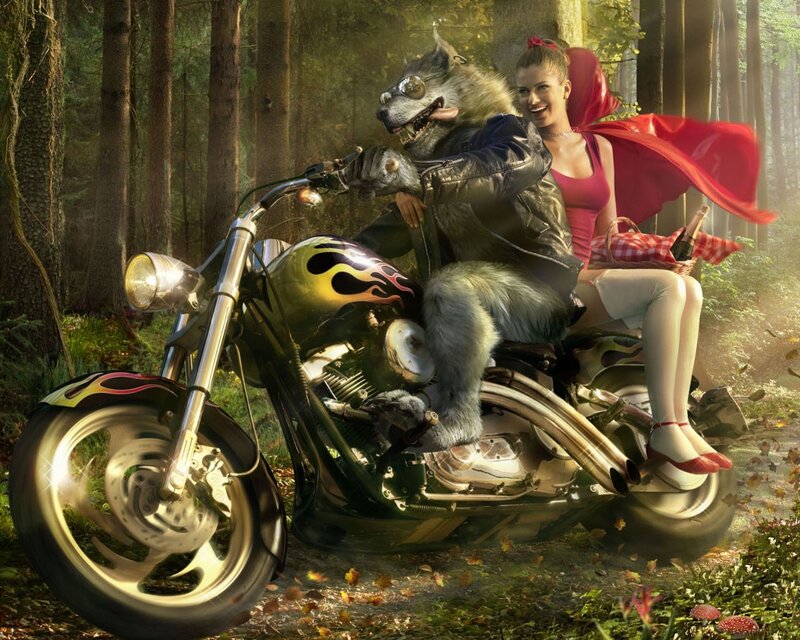 Wolf Riding Motorcycle