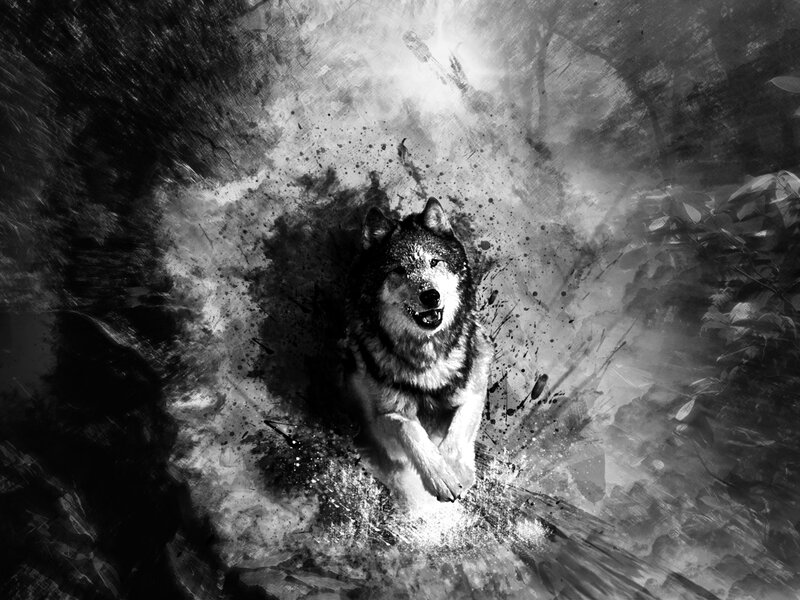 Wolf Running in Forest