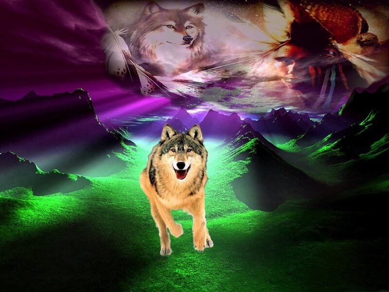 Wolf Running in Mountains