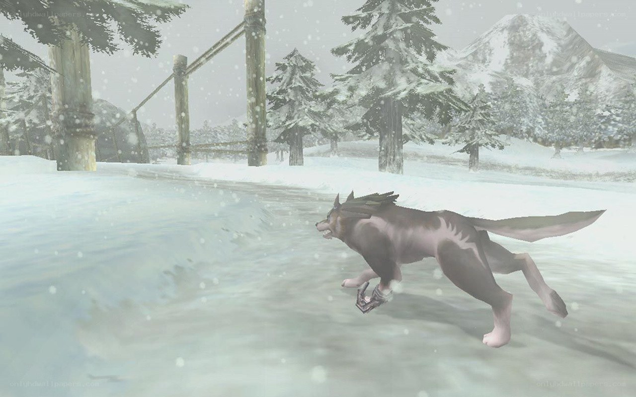 wolf running in snow