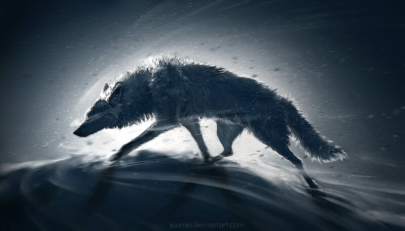 Wolf Running in Snow — Black, Dramatic, Winter