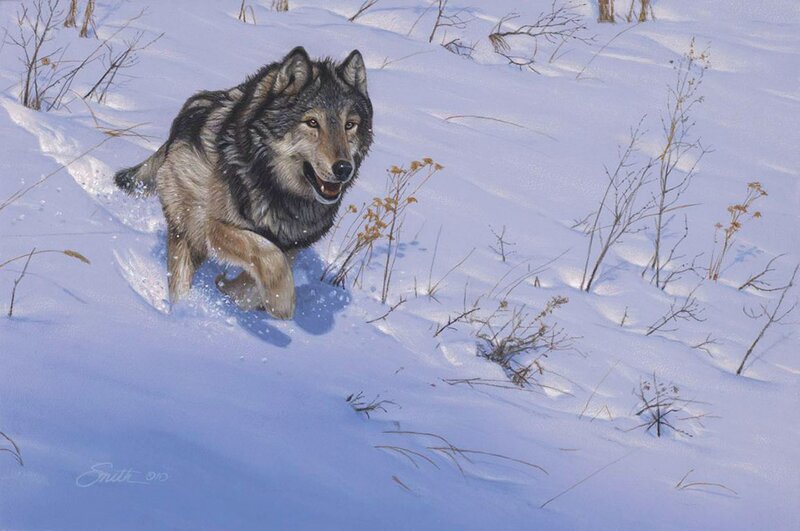 Wolf Running in Snow — White, Active, Winter, Painting