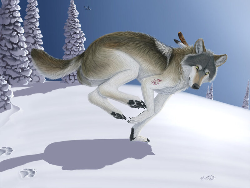 Wolf Running in Snow — White, Calm