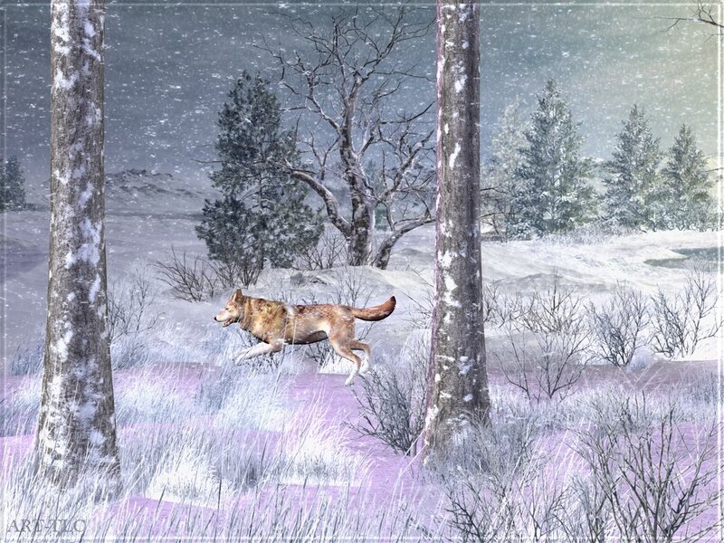 Wolf Running in Snow — White, Cold, Winter, Digital Art