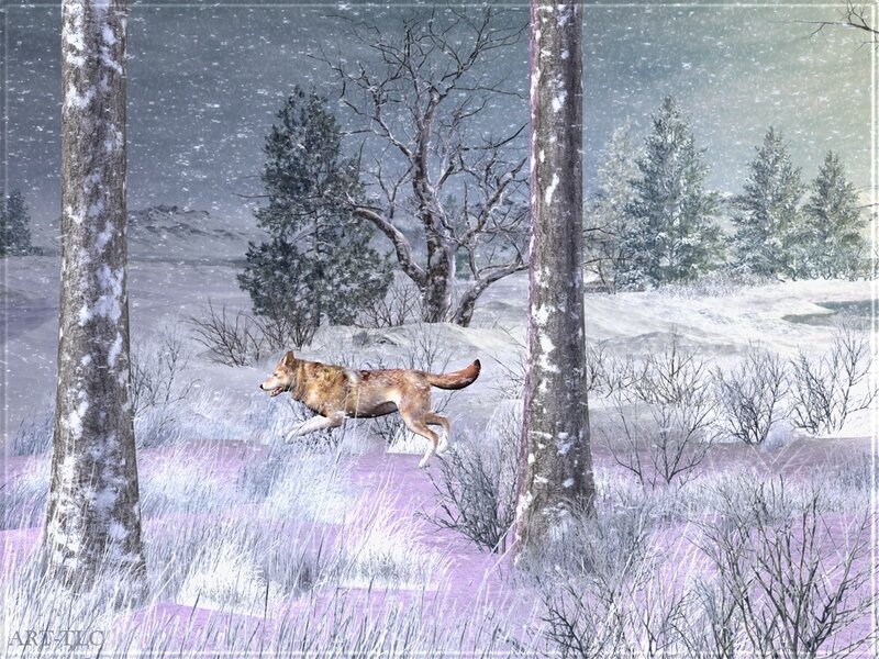 Wolf Running in Snow — White, Cold, Winter