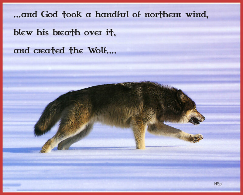 Wolf Running in Snow — White, Dramatic, Winter, Photograph