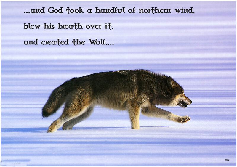 Wolf Running in Snow — White, Dramatic, Winter