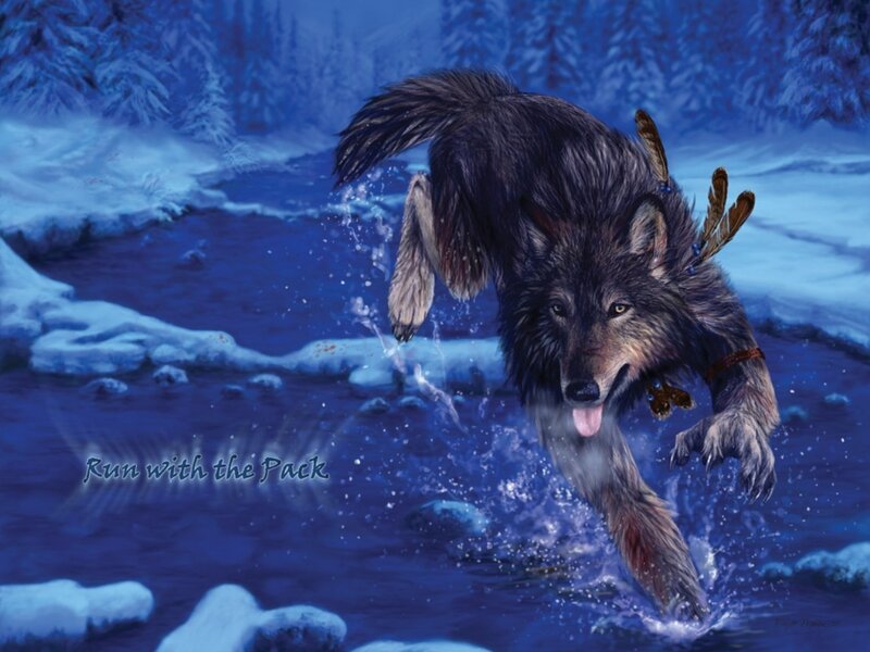Wolf Running in Water