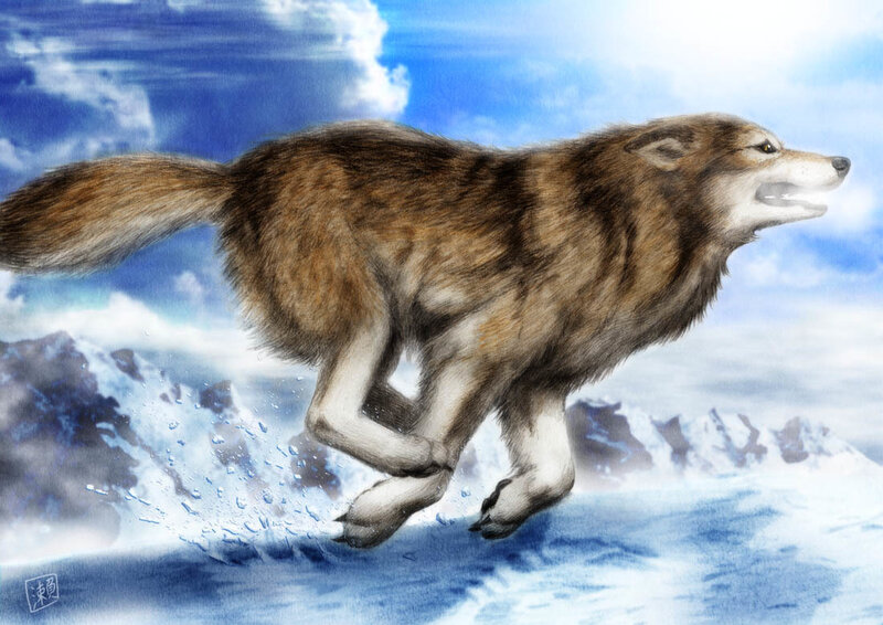 Wolf Running on Ice — Blue