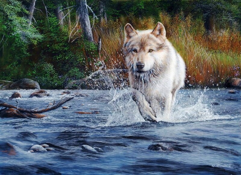 Wolf Running Through River — Blue, Dynamic, Afternoon