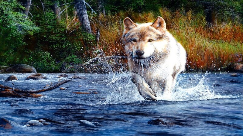 Wolf Running Through River — Blue, Dynamic