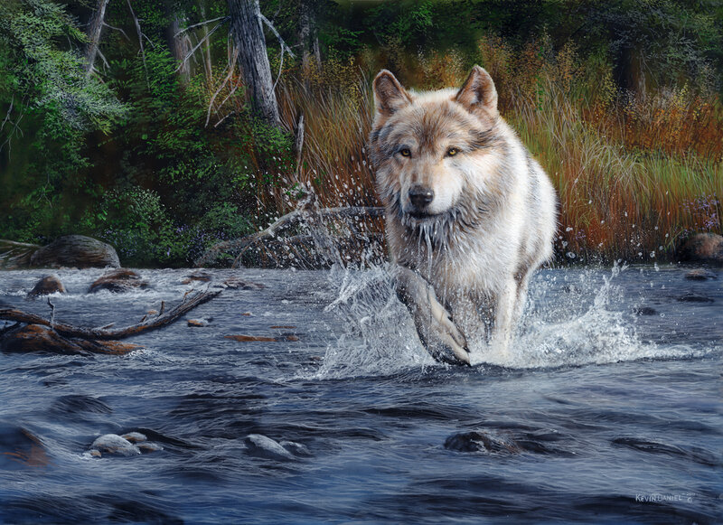 Wolf Running Through River — Blue